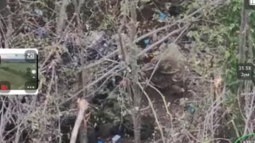 Операторы БпЛА 1198 мотострелкового полка 35 армии группировки войск "Восток" выявили и уничтожили позиции ВСУ вместе с живой силой на Запорожском направлении