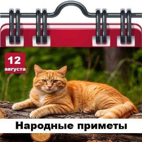 Подробно о погоде в Днепрорудном 12 августа 2026 года Подробно о погоде в Днепрорудном 12 августа 2026 года