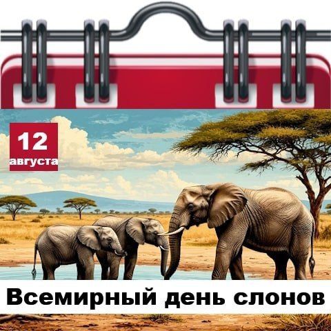 Подробно о погоде в Днепрорудном 12 августа 2026 года Подробно о погоде в Днепрорудном 12 августа 2026 года