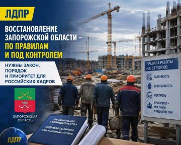 ЛДПР: к восстановлению Запорожской области нужно заранее подготовить правила работы с трудовыми ресурсами