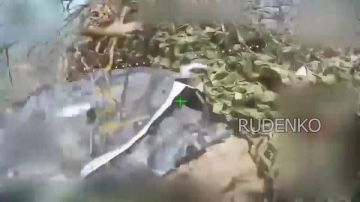 ������ �������: ������� ���� 58-� ������������� ����� ����������� ������ ������������� ������ ��� � �������� ������� ������� � ������ ���������� ���� �� ���������� ����������� � ����������� �������