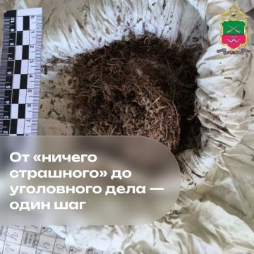 От «ничего страшного» до уголовного дела — один шаг
