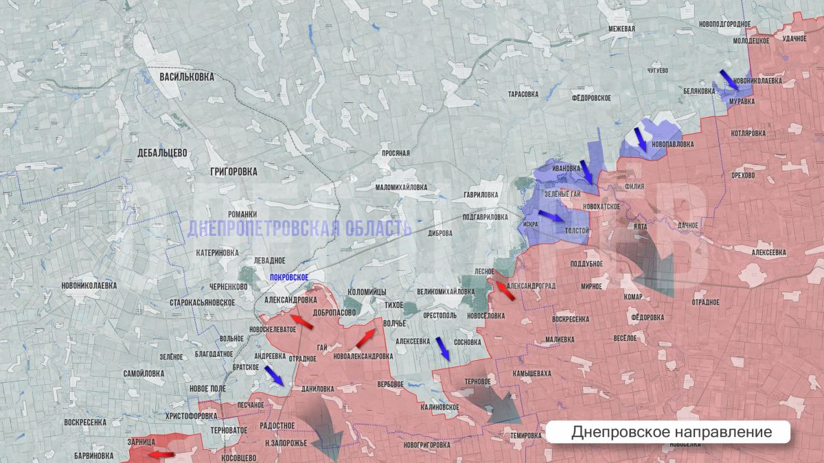 Олег Царёв: Фронтовая сводка 13 августа Олег Царёв: Фронтовая сводка 13 августа