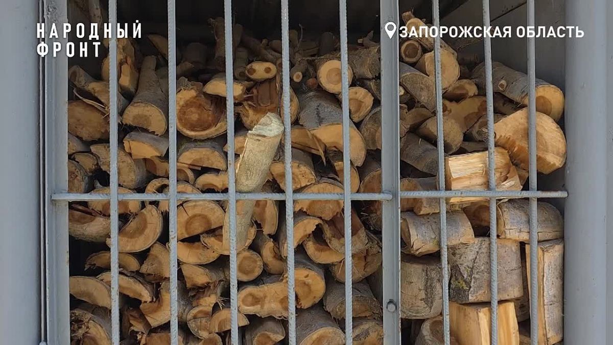 Печь на дровах и почти 3000 банок консервов: как пансионат в Бердянске выживает без света и воды