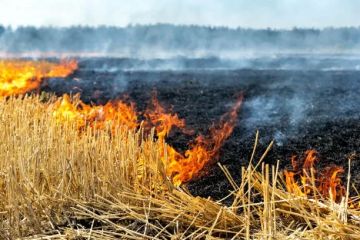 Уважаемые сельхозтоваропроизводители!