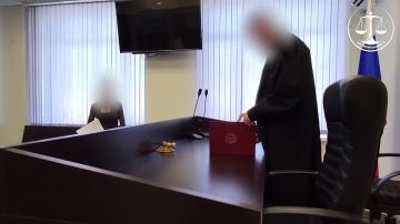 11 лет колонии получила жительница Васильевского района за шпионаж