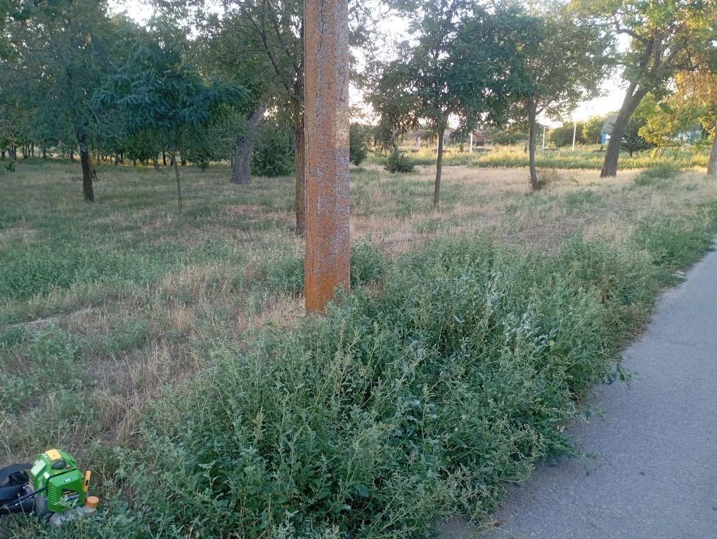 Рабочие МБУ "Парки и скверы" продолжают следить за порядком на территории населённых пунктов Приморского муниципального округа Рабочие МБУ "Парки и скверы" продолжают следить за порядком на территории населённых пунктов Приморского муниципального округа