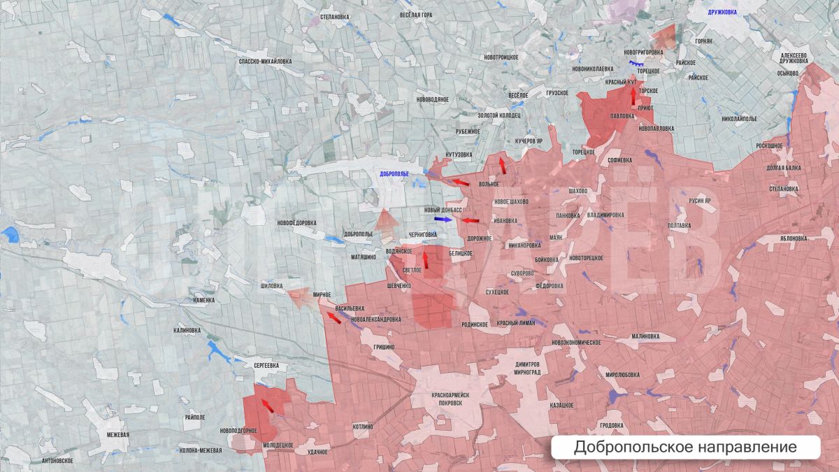 Олег Царёв: Фронтовая сводка 13 августа Олег Царёв: Фронтовая сводка 13 августа