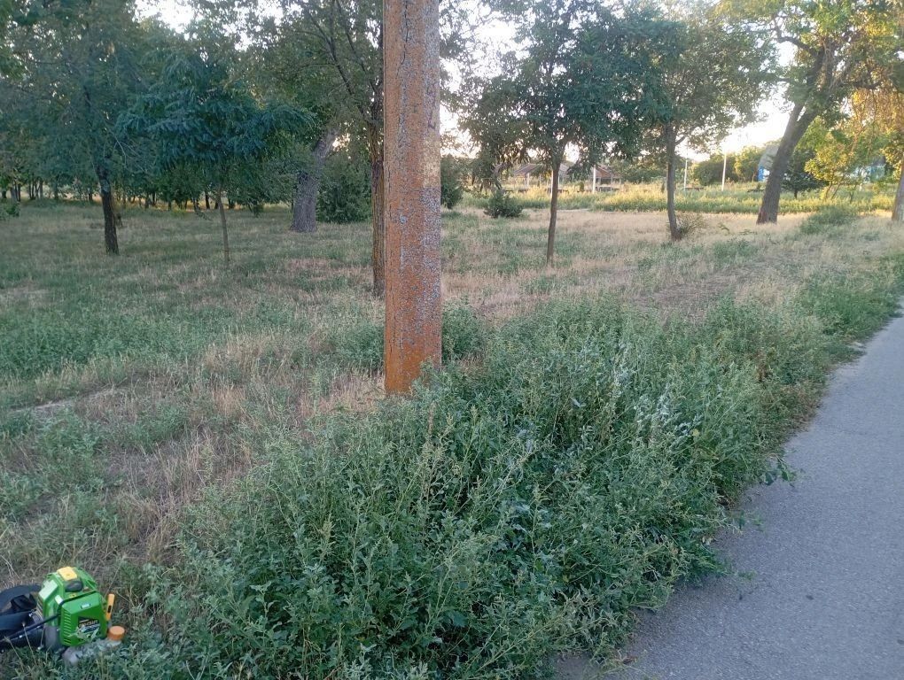 Рабочие МБУ "Парки и скверы" продолжают следить за порядком на территории населённых пунктов Приморского муниципального округа Рабочие МБУ "Парки и скверы" продолжают следить за порядком на территории населённых пунктов Приморского муниципального округа