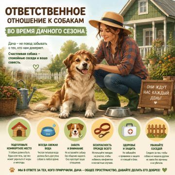 Ответственное отношение к животным - залог безопасности и комфорта всех жителей