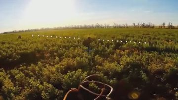 ������ ������. ��������� ����������� ����� ������� ���������� ��������� ������ ��� � ����������� �������