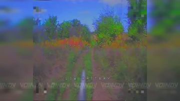 Операторы 57 бригады ликвидировали засвеченную живую силу ВСУ в Запорожской области