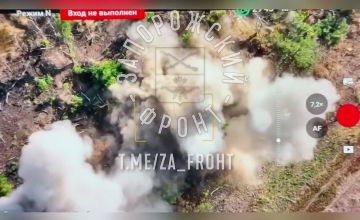 Разведчики 291 полка выковыривают пяточков из нор под Ореховом