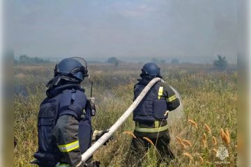Дрон ВСУ атаковал пожарную часть в запорожских Пологах