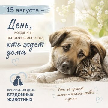 15 августа - День бездомных животных: Взгляд на проблему и пути ее решения