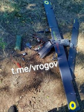 Владимир Рогов: Обломки сбитого дрона на дороге в Энергодар