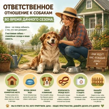 Ответственное отношение к животным - залог безопасности и комфорта всех жителей
