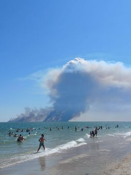 Вид с пляжа в селе Приморское (около Вилково Одесской области)
