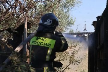 В Запорожской области за сутки ликвидировали 25 пожаров