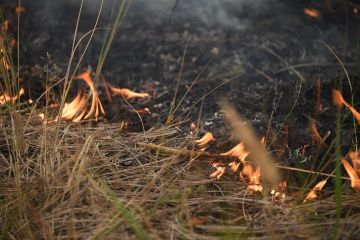 � ����������� ������� �������� ������������ ���������������