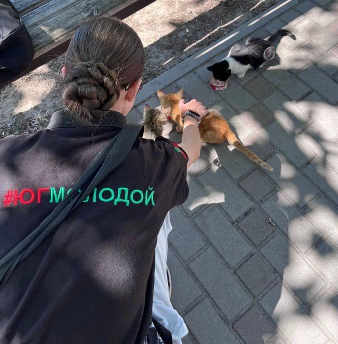 Пост доброты: ребята из "Юга Молодого" провели благотворительную акцию «Помоги лохматому другу» в Днепрорудном
