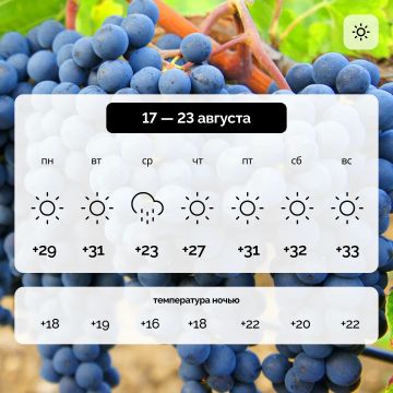 Погода в Запорожской области на 17 — 23 августа