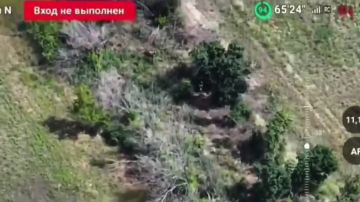 Дроноводы не дали боевикам скопить силы для атаки