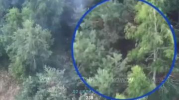 Операторы БпЛА 55 гвардейской дивизии морской пехоты в составе группировки войск "Восток" выявили и уничтожили живую силу противника на Запорожском направлении