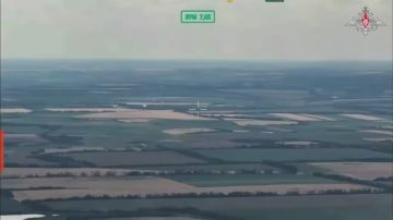 ВС РФ освободили населенный пункт Новосолошино Запорожской области, сообщили в Министерстве обороны России