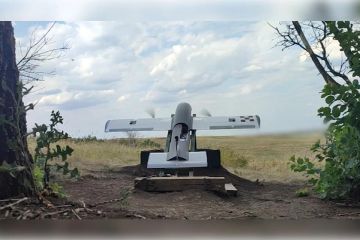В Запорожской области дронами "Молния" разнесли опорные пункты ВСУ