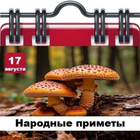 17 августа - День памяти Казанской (Пензенской) иконы Божией Матери! 17 августа - День памяти Казанской (Пензенской) иконы Божией Матери!