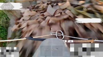���������: ����� ������ ���������� ��������� ������ �� �������� �����, ��������� � ������� ����������