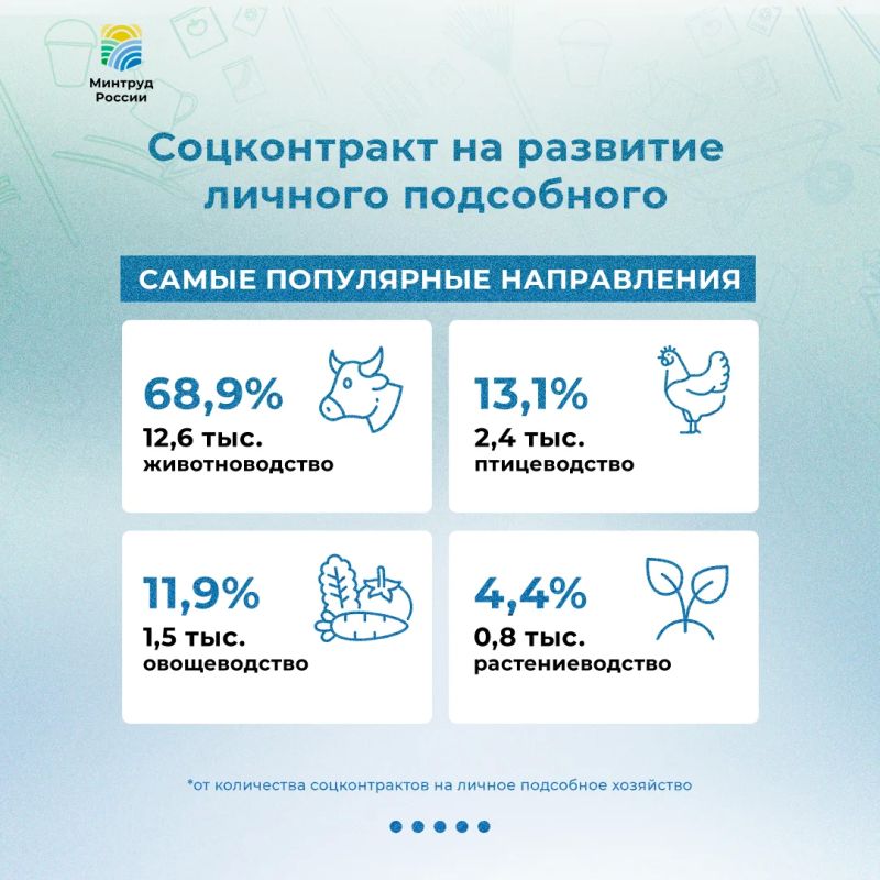 Социальный контракт помог более 356 тыс Социальный контракт помог более 356 тыс