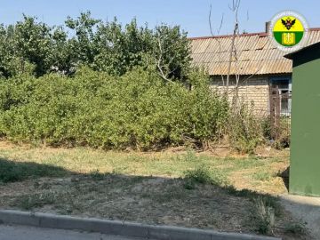 Ликвидирована свалка на улице Краснофлотской