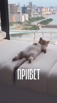 Доброе утро!. Подписывайтесь на НОВЫЙ МЕЛИТОПОЛЬ