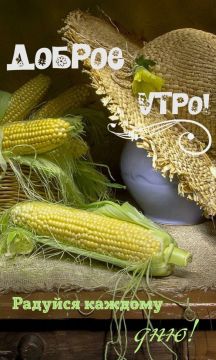 С Добрым утром Днепрорудное!
