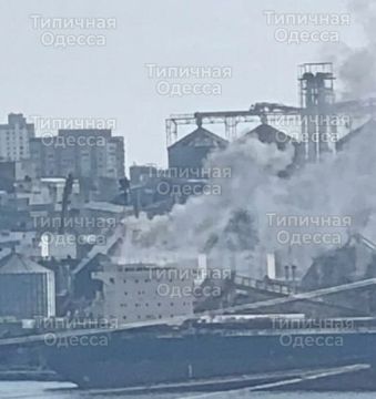 Наши беспилотники вновь навестили порт Ильичевска