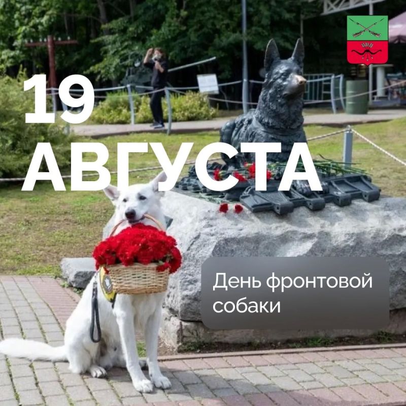 День фронтовой собаки в России