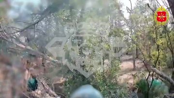 Прикрывались детским садом