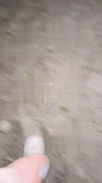 �������� �����: ����������� ����� �� ������������ ������ �����