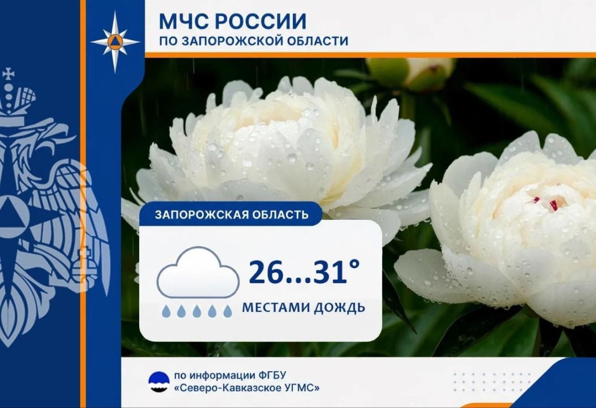 Роль органов опеки и попечительства Роль органов опеки и попечительства
