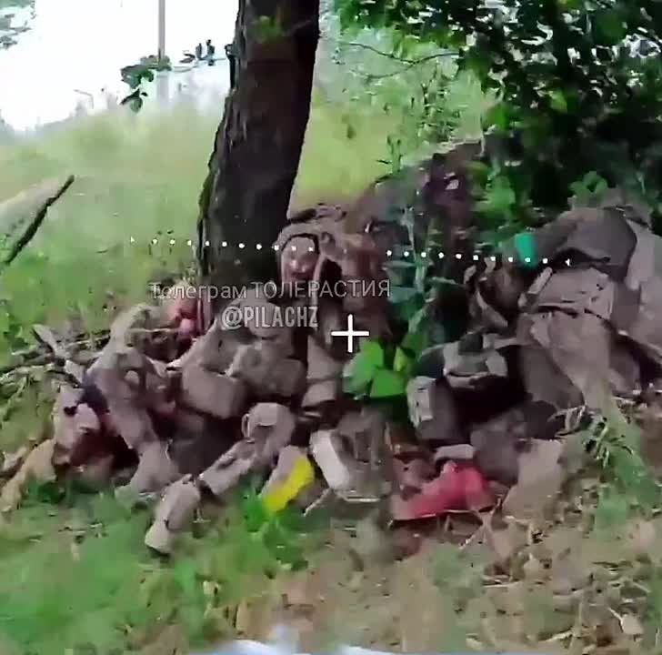 Хеттрик!. ЗАПОРОЖСКИЙ ФРОНТ