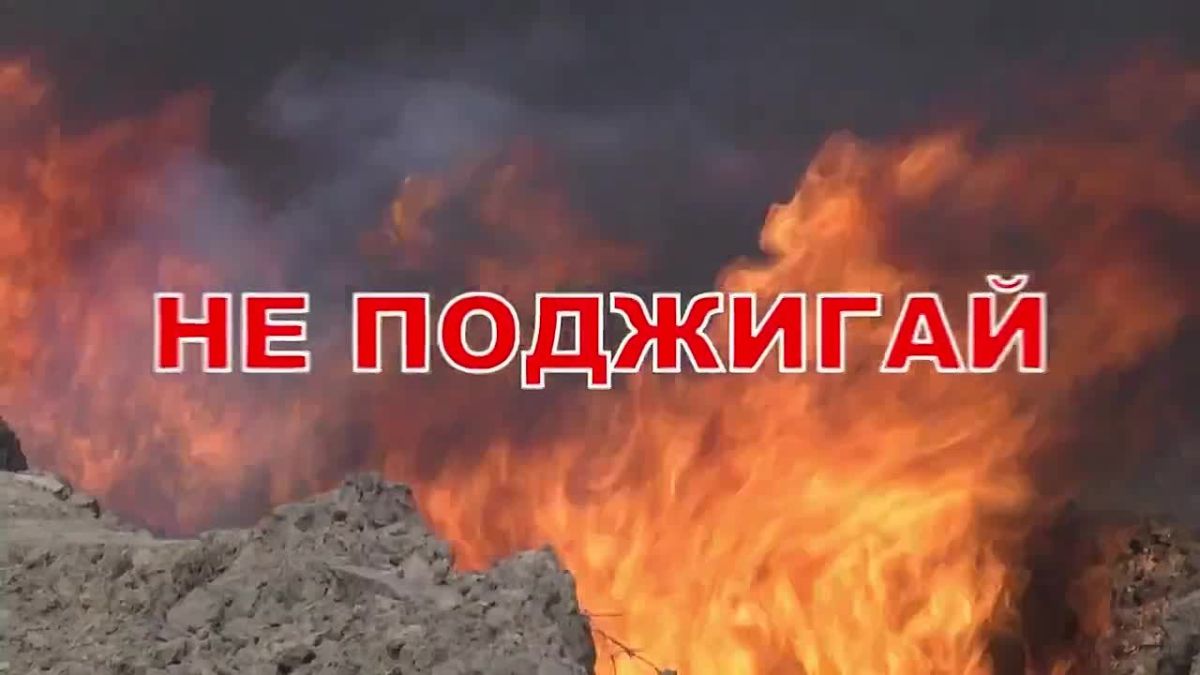 Берегите лес — огонь не прощает беспечности!