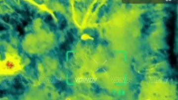 ��������� 69 ��������� ������� ��������� 35 ����� ����������� ����� "������" ������� ����� �� ����� ���� ��� �� ����������� �����������
