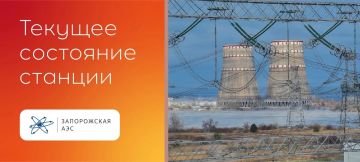ЗАЭС перешла на резервное энергоснабжение: задействованы дизель-генераторы