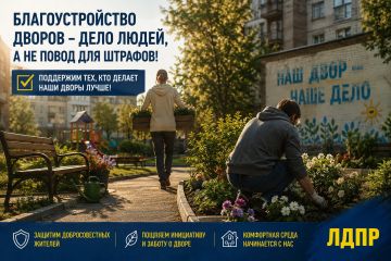 ЛДПР предложила регионам не штрафовать граждан за благоустройство дворов