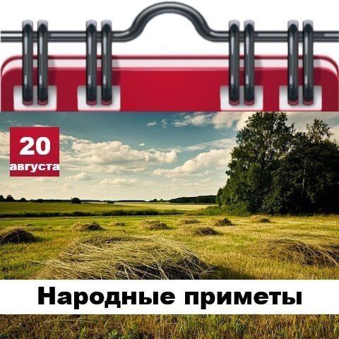 Подробно о погоде в Днепрорудном 20 августа 2026 года Подробно о погоде в Днепрорудном 20 августа 2026 года