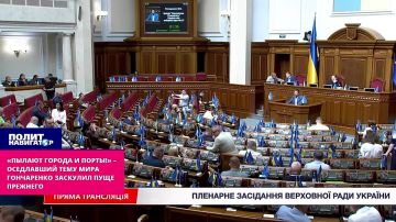 «Пылают города и порты!» – оседлавший тему мира террорист Гончаренко заскулил пуще прежнего