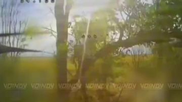 Операторы БпЛА группировки войск "Восток" продолжаются препятствовать применению противником беспилотных систем, уничтожая антенны НСУ на Запорожском направлении