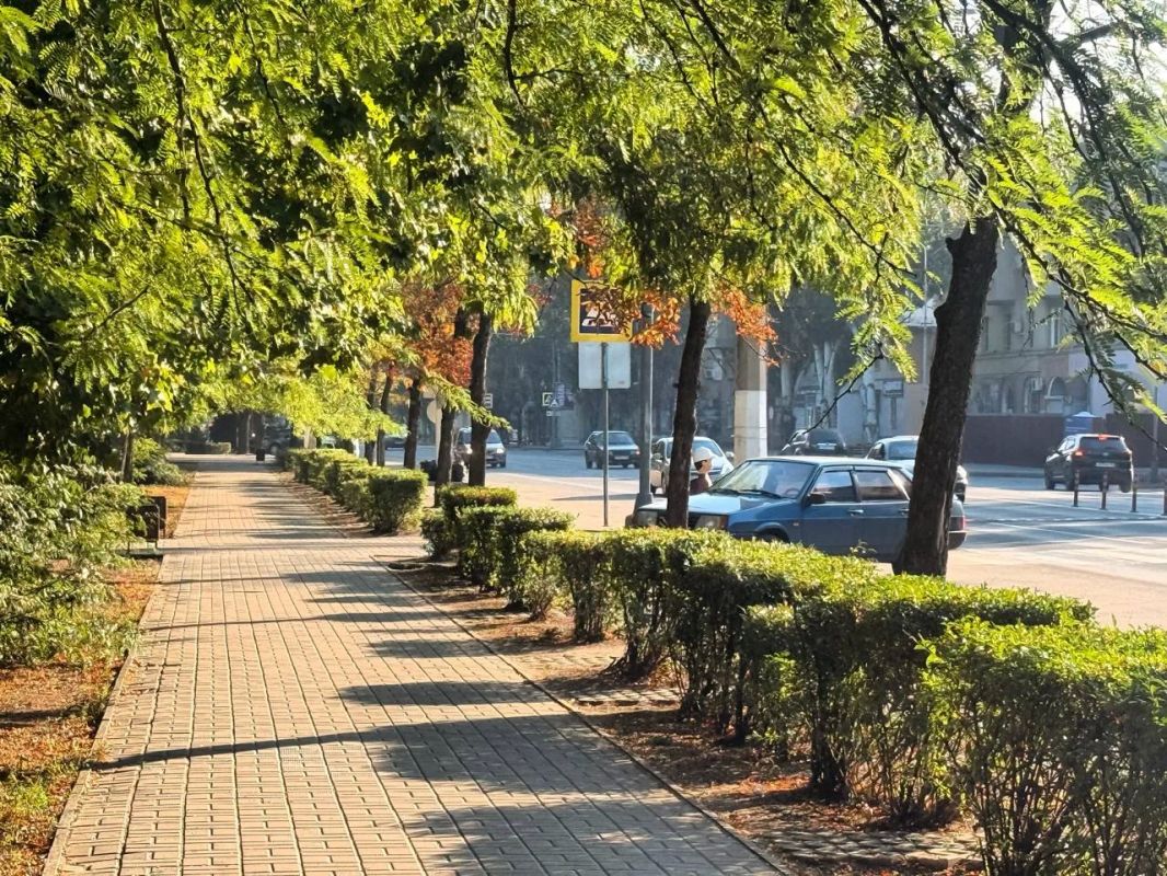Доброе утро! Отличного дня!